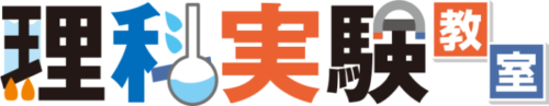 本物を見て触って、学ぼう！！～ひまわりくらぶ～