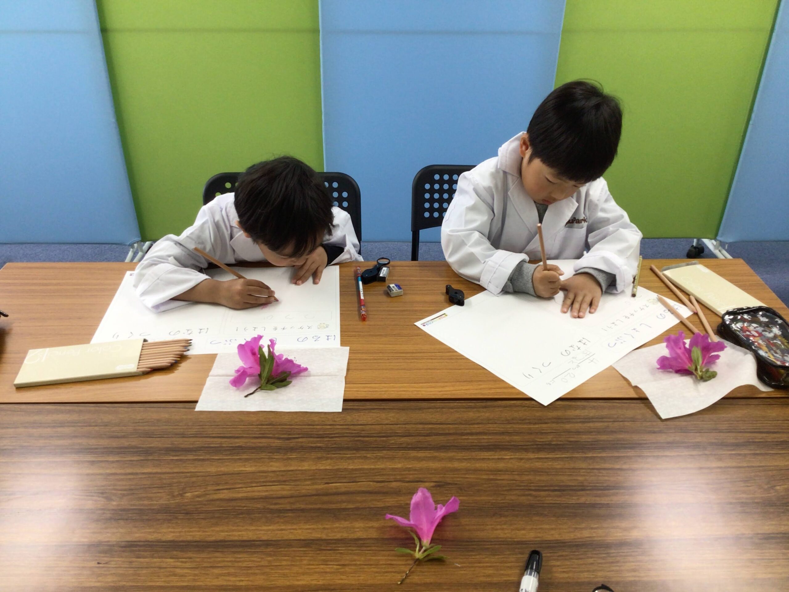 花のつくり～ひまわりくらぶの実体験講座～