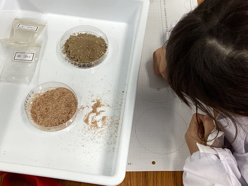 砂と土の違いを調べる