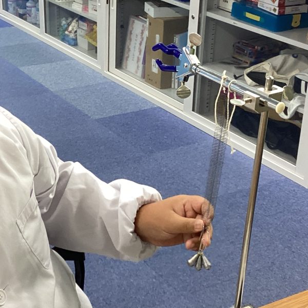 ばねののびを調べる。