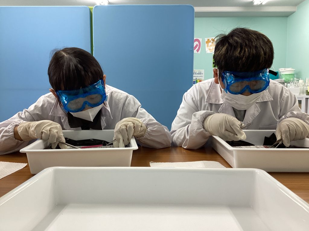 動物の体のつくりを調べる。