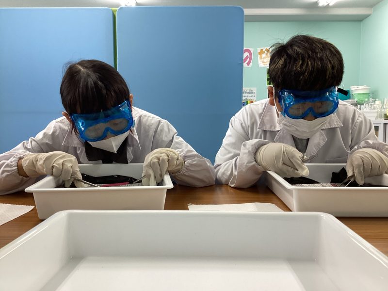 動物の体のつくり➁～理科実験教室