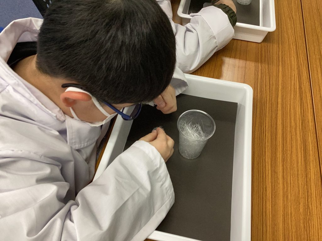 光ファイバーを並べる