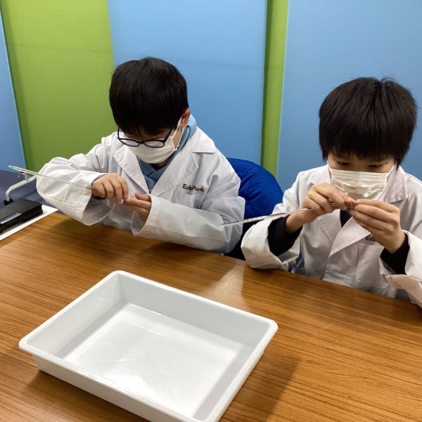 温度計にガーゼを巻く