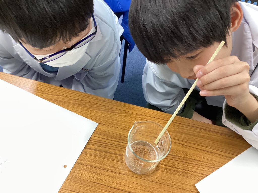 昨酸ナトリウムに刺激を与える。