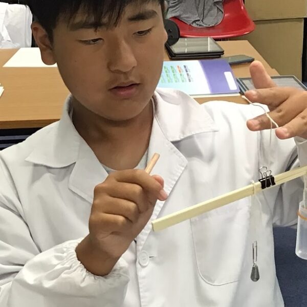 さおばかりを使う