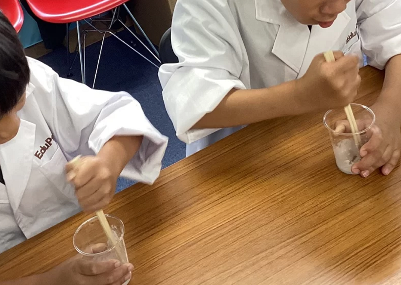 2026年はどんな実験に挑戦？