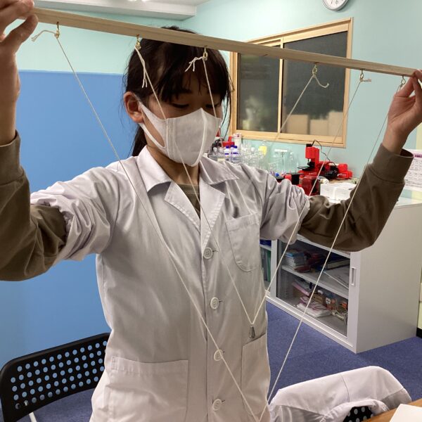 不思議な振り子