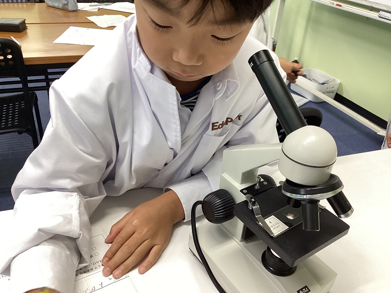 プランクトンを観察する