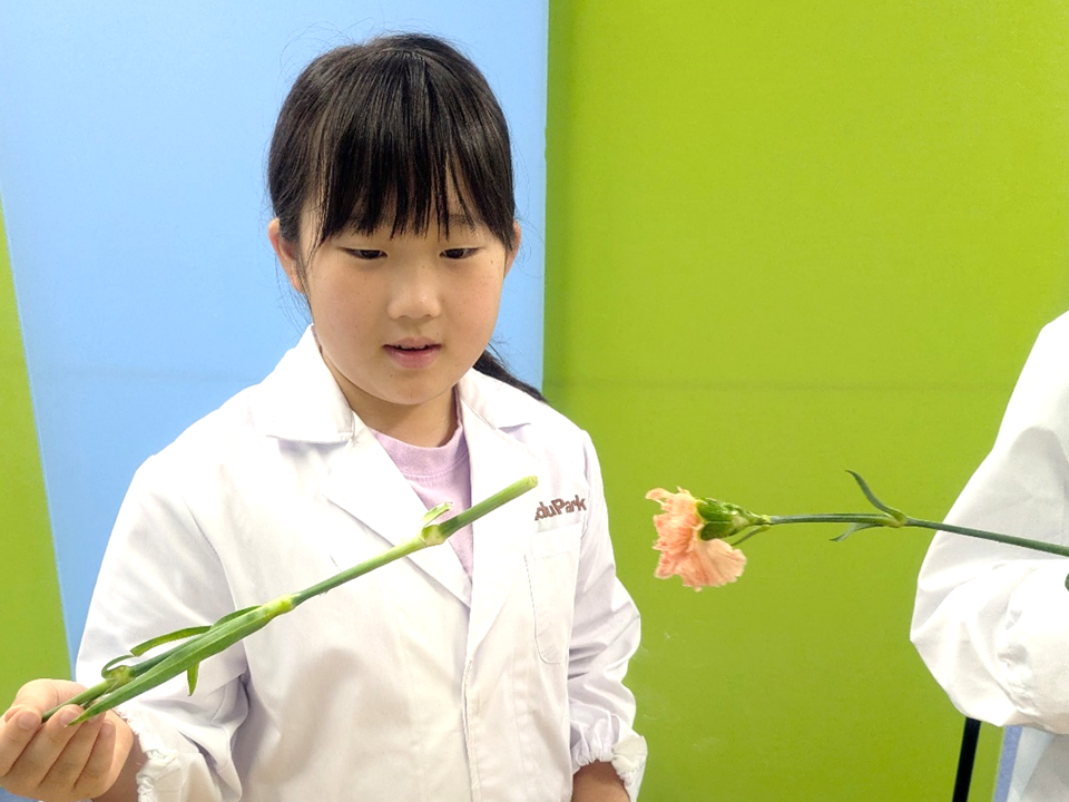 植物も凍った！