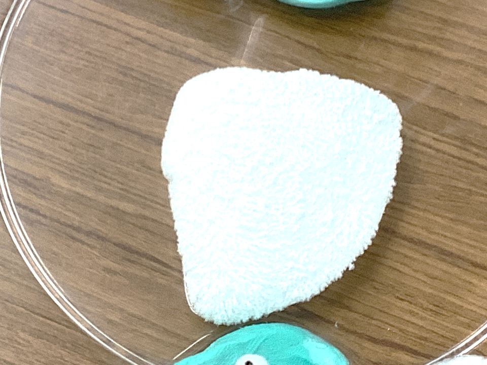 融けているドライアイスはでこぼこしている!